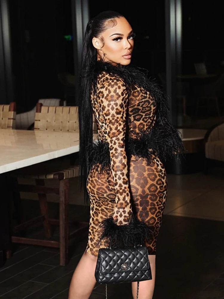 Weird Puss Sexy See Through 2-Piece Set - Feather Patchwork Top & Shorts - Buy Center US