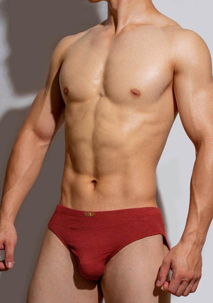 Buycenter Men's Simple Metal Label Briefs - Modal, Low Waist Underwear - Buy Center US
