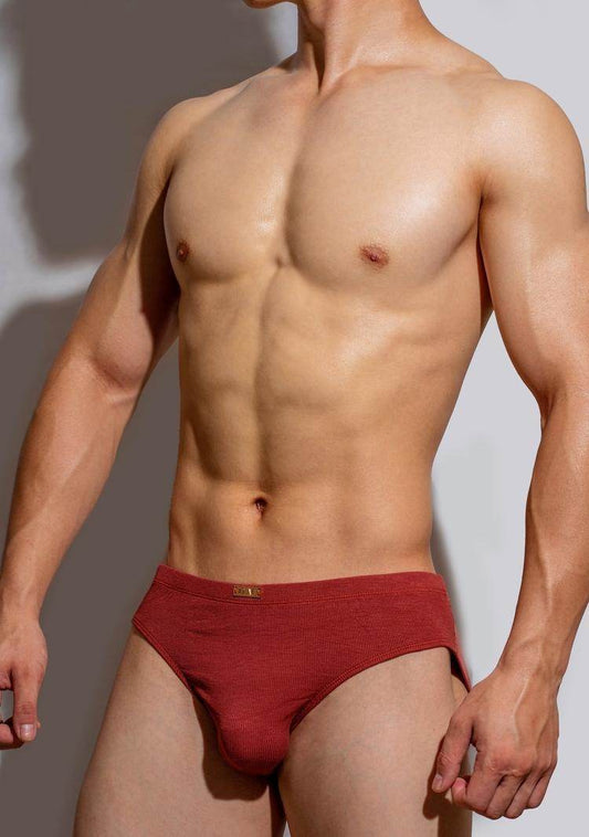 Buycenter Men's Simple Metal Label Briefs - Modal, Low Waist Underwear - Buy Center US