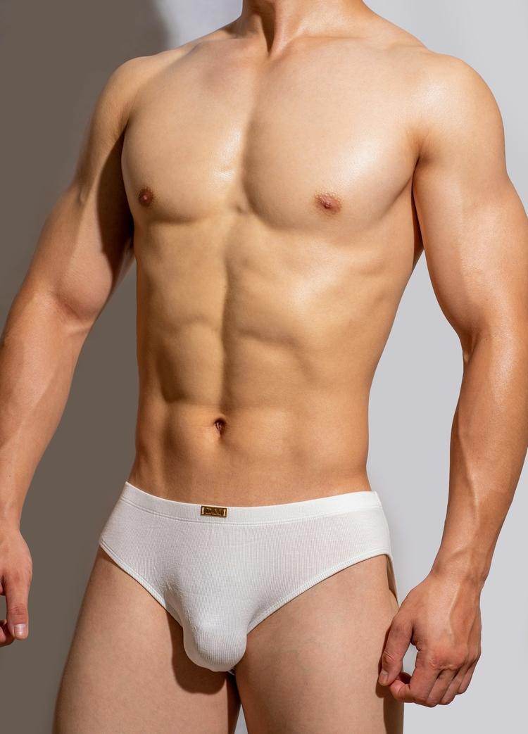 Buycenter Men's Simple Metal Label Briefs - Modal, Low Waist Underwear - Buy Center US