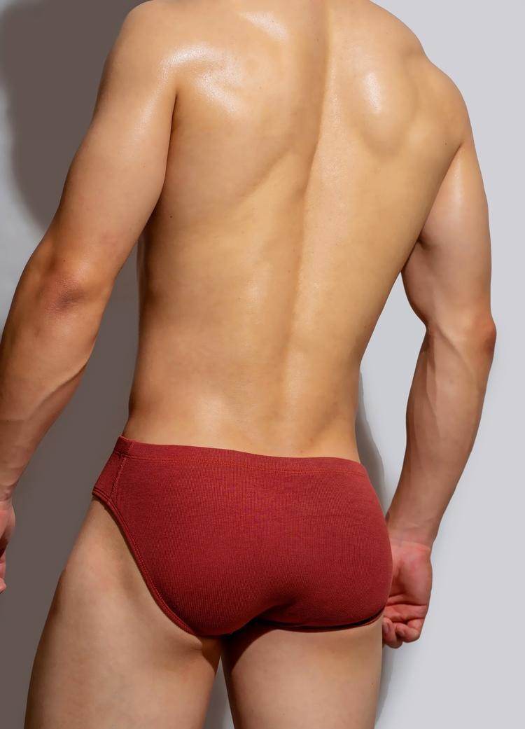 Buycenter Men's Simple Metal Label Briefs - Modal, Low Waist Underwear - Buy Center US