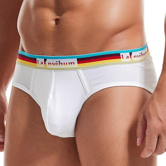 Buycenter Rainbow Cotton Briefs - Stylish Solid Colors for Men - Buy Center US