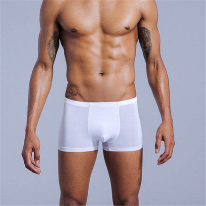 Buycenter Translucent Elastic Boxer Shorts - Comfortable and Hip Lifting - Buy Center US