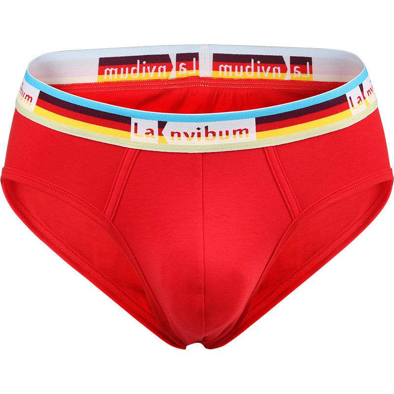 Buycenter Rainbow Cotton Briefs - Stylish Solid Colors for Men - Buy Center US