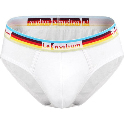 Buycenter Rainbow Cotton Briefs - Stylish Solid Colors for Men - Buy Center US