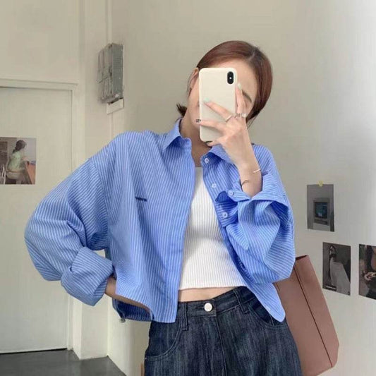 Vertical Striped Embroidery Shirt - Loose Fit in Blue & White Stripe - Buy Center US