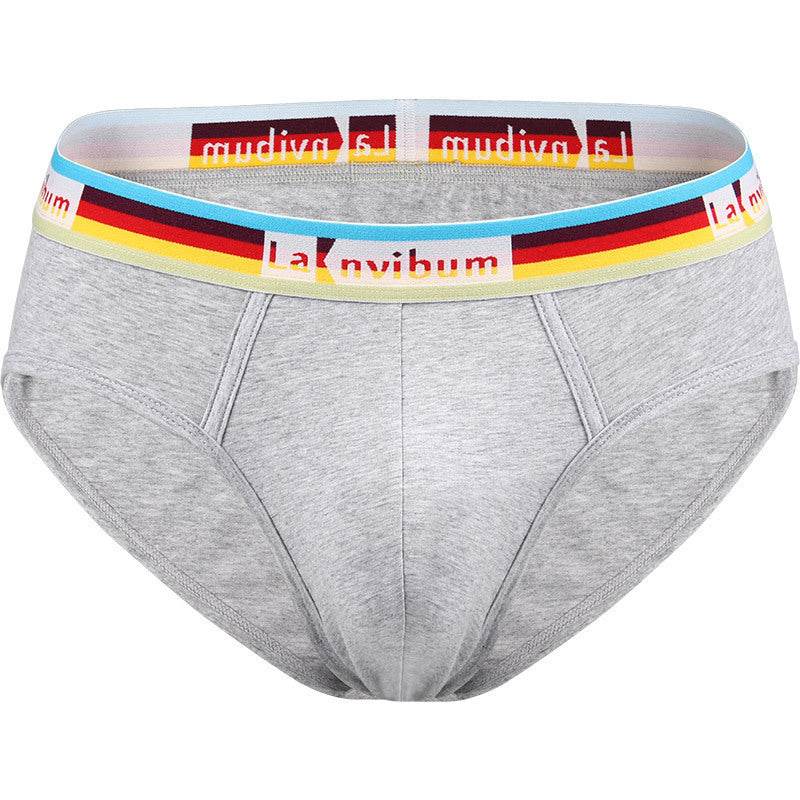 Buycenter Rainbow Cotton Briefs - Stylish Solid Colors for Men - Buy Center US