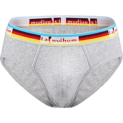 Buycenter Rainbow Cotton Briefs - Stylish Solid Colors for Men - Buy Center US