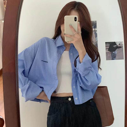 Vertical Striped Embroidery Shirt - Loose Fit in Blue & White Stripe - Buy Center US