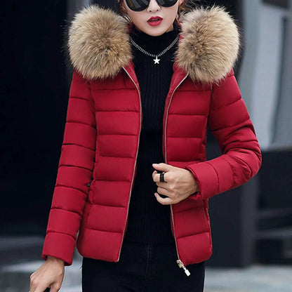 Women's Slim Fit Hooded Jacket – Casual Autumn Winter Parka - Buy Center US