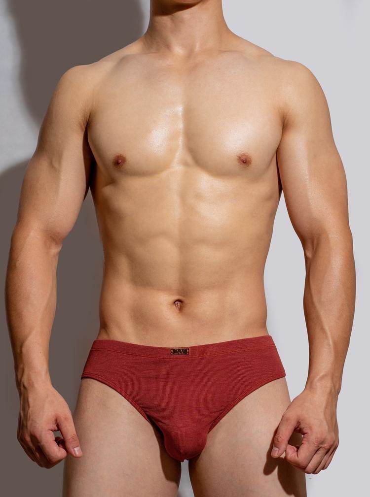 Buycenter Men's Simple Metal Label Briefs - Modal, Low Waist Underwear - Buy Center US
